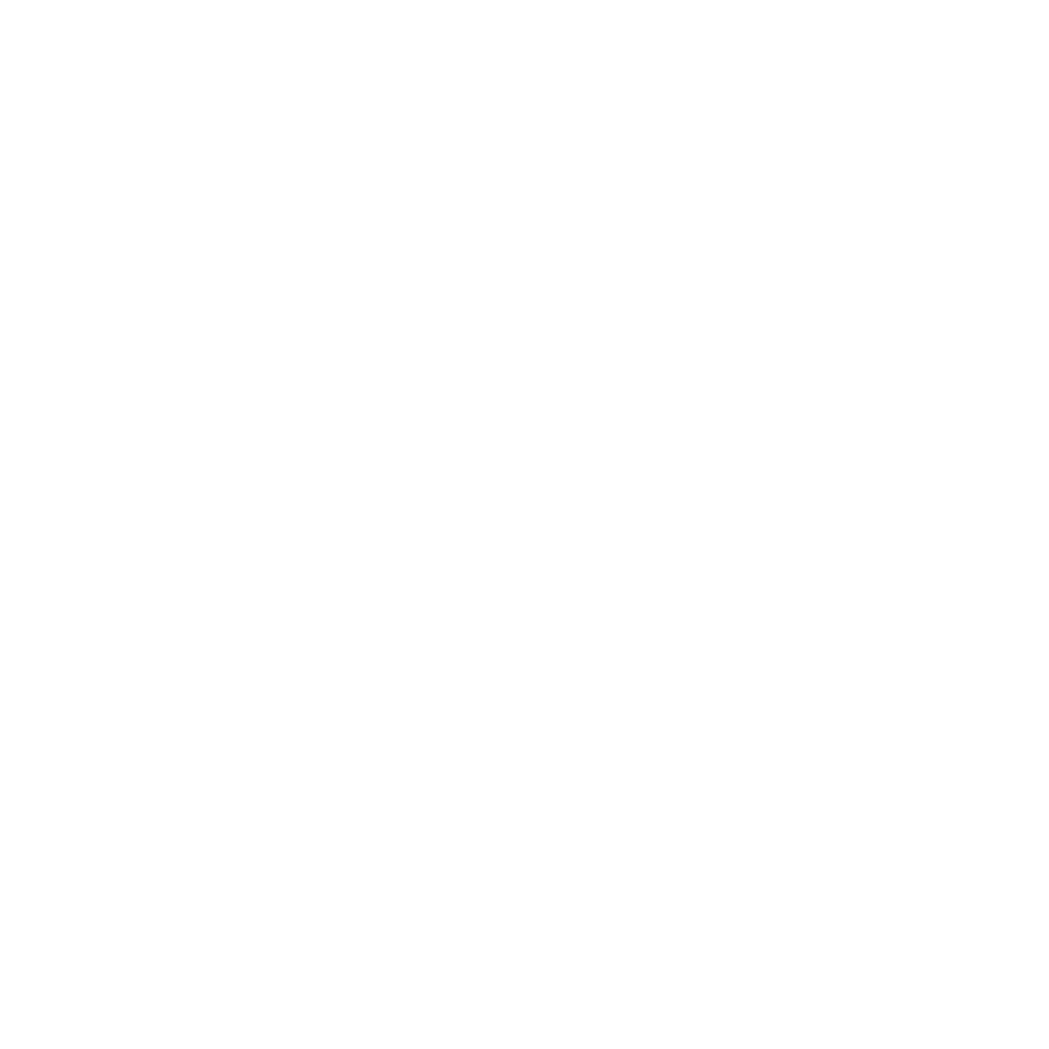 Finor Finance Euro coins white icon