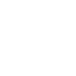 Finor Finance Euro note white icon